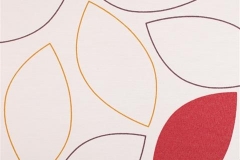 480x320_176_Cumbia_Orange