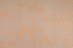 480x320_281_Printed-Trees-Ivory