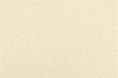 480x320_551_Ecovision3000_Mashmallow
