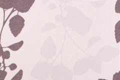 480x320_598_Vigne_Wine