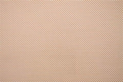 Designer-Collection-Biscuit