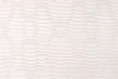 480x320_200_NewYorkWhite