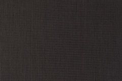 480x320_490_Essential-3_Ebony