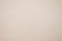 480x320_574_Tela-Traslucente-Claire-Ivory