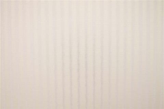 480x320_496_Tela-Traslucente-Exquisite-II-Cream-Less
