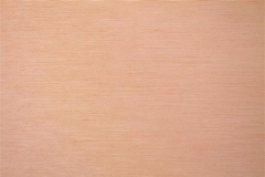 480x320_270_Tela-Traslucente-Exquisite-II-Clear-Tan-1