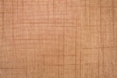 480x320_262_Tela-Traslucente-Roma-Brown