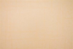 480x320_371_Tela-Traslucente-Roma-Desert