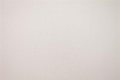 480x320_699_Tela-Traslucente-Roma-Cotton