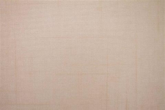 480x320_981_Tela-Traslucente-Roma-Tan