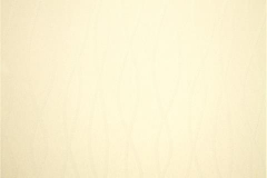 480x320_504_Olas_Cream