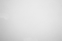 480x320_629_Hojas_White