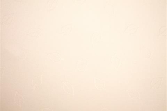 480x320_848_Hojas_Cream