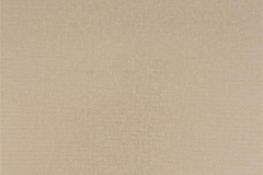 480x320_4_Renaissance_Beige