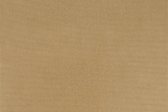 480x320_863_Renaissance_Sand
