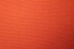 Nolite-II-Harvest-Pumpkin
